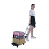 Mini Folding Shopping Trolley with 4 Spinner Wheels
