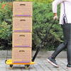 100kg Load Folding Hand Trolley for Portable Luggage Transportation 