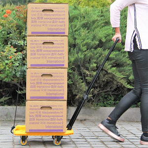 100kg Load Folding Hand Trolley for Portable Luggage Transportation 