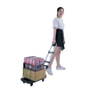 Compact Platform Lightweight Portable Dolly Folding Hand Trolley Cart with 5 Spinner Wheels